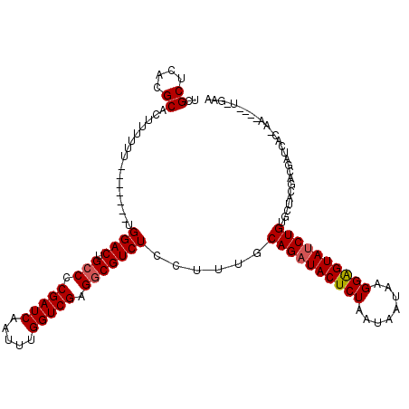 secondary structure