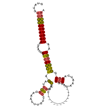 secondary structure