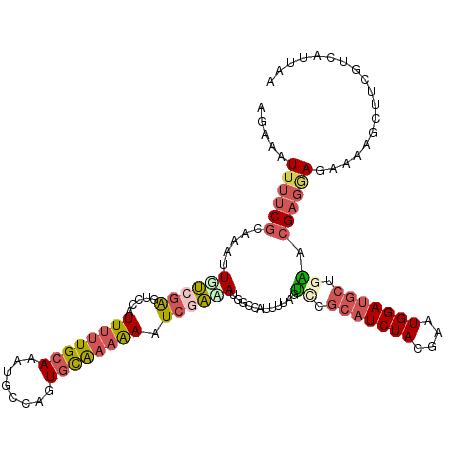 secondary structure