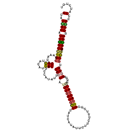 secondary structure