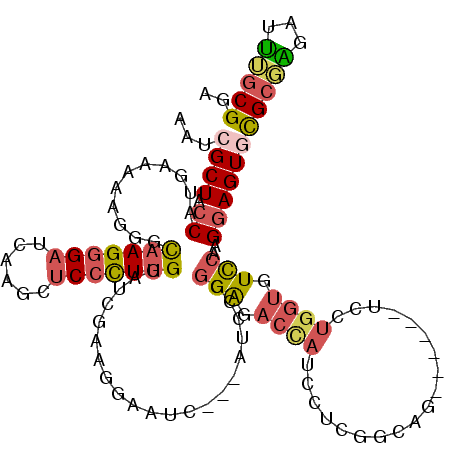 secondary structure