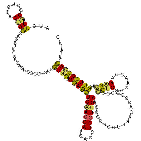 secondary structure
