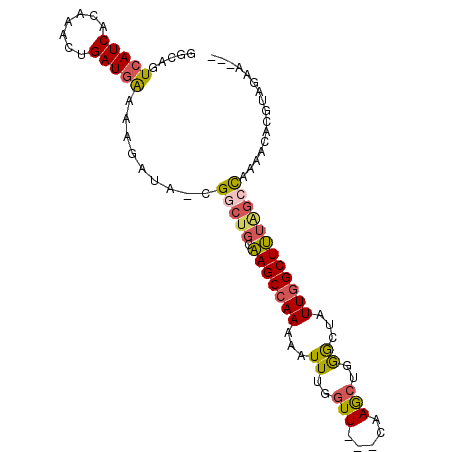 secondary structure
