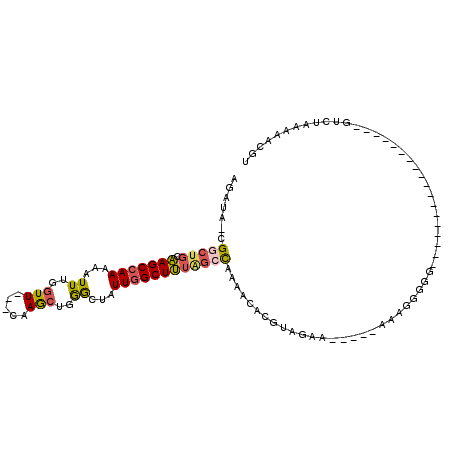secondary structure