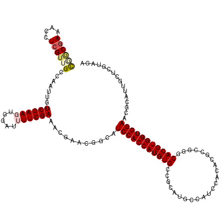 secondary structure