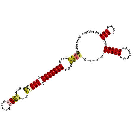 secondary structure