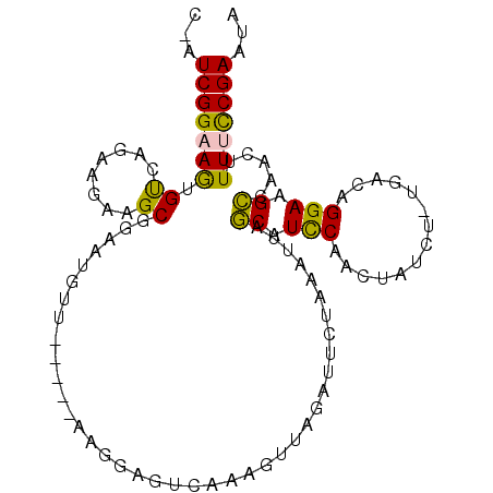 secondary structure