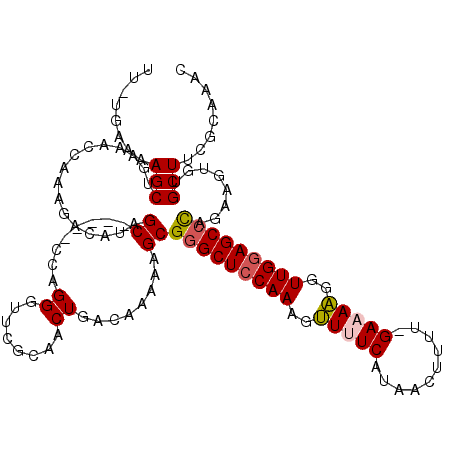 secondary structure