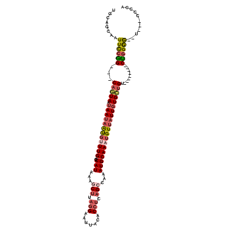 secondary structure