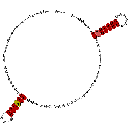 secondary structure