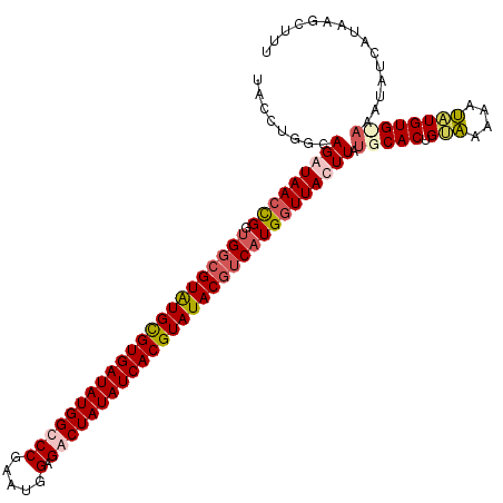 secondary structure
