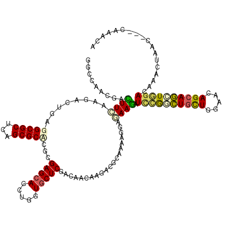 secondary structure