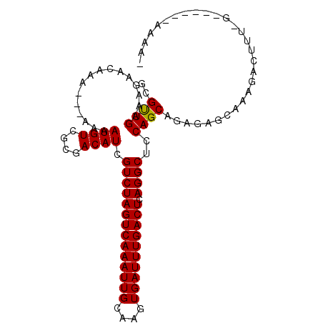 secondary structure