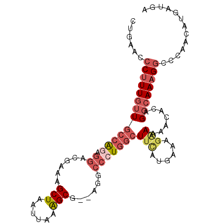secondary structure