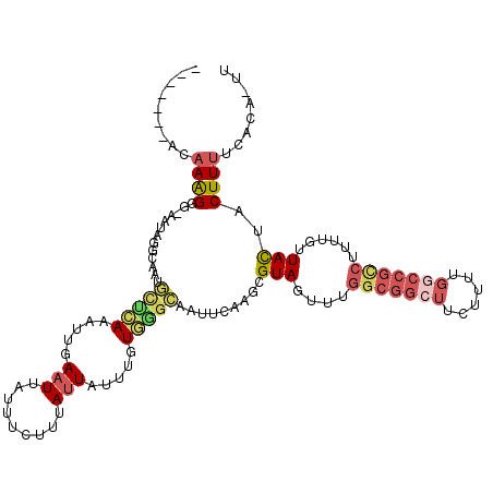 secondary structure