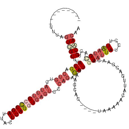 secondary structure