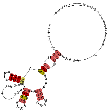 secondary structure