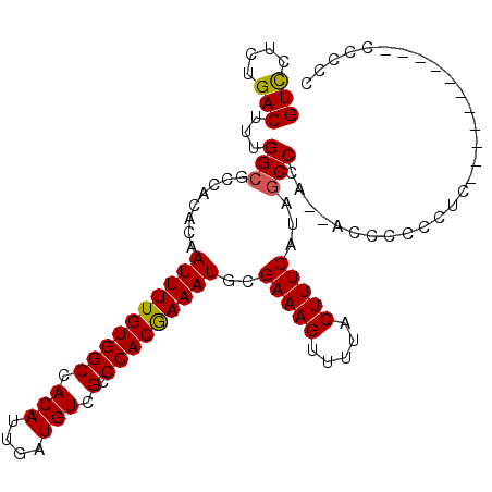 secondary structure