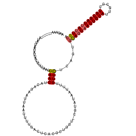 secondary structure