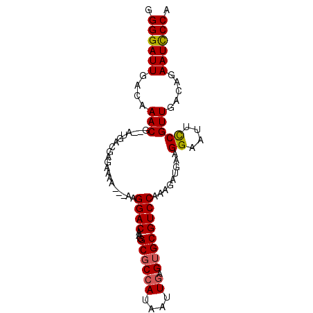 secondary structure