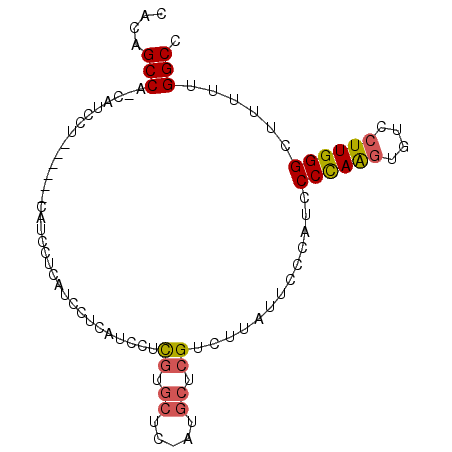 secondary structure