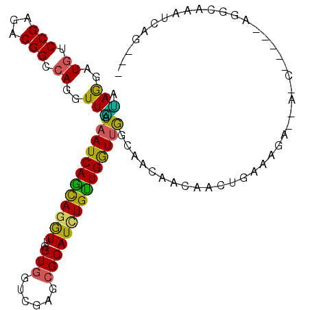 secondary structure