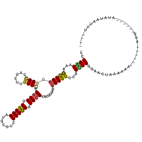 secondary structure