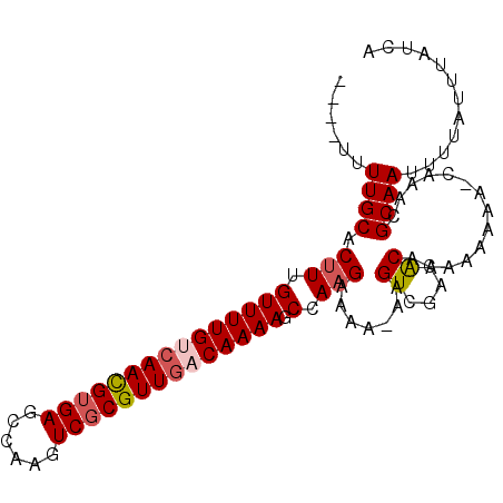 secondary structure
