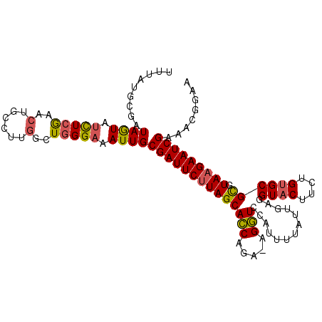 secondary structure