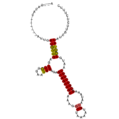 secondary structure