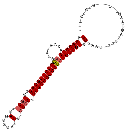 secondary structure