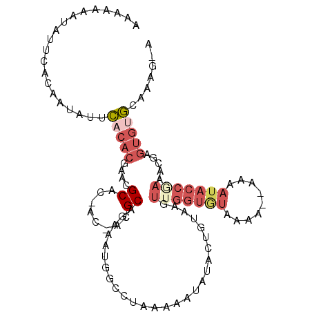 secondary structure