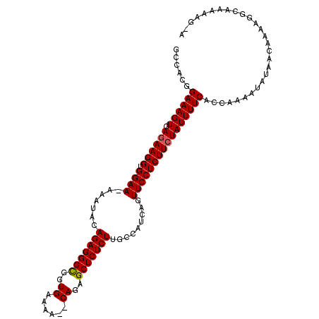 secondary structure