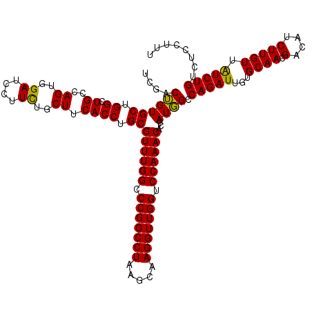 secondary structure