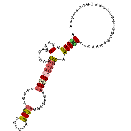 secondary structure