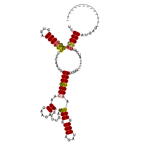 secondary structure