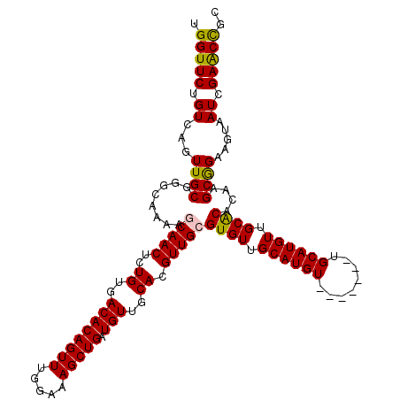 secondary structure