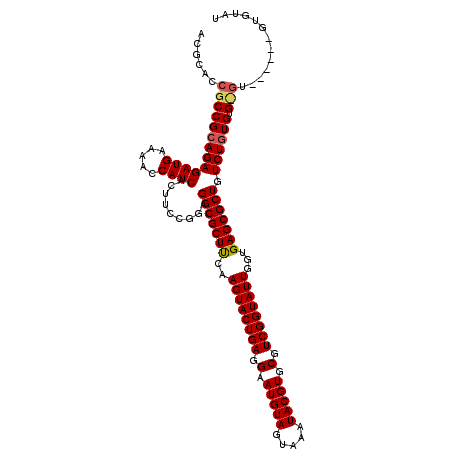 secondary structure