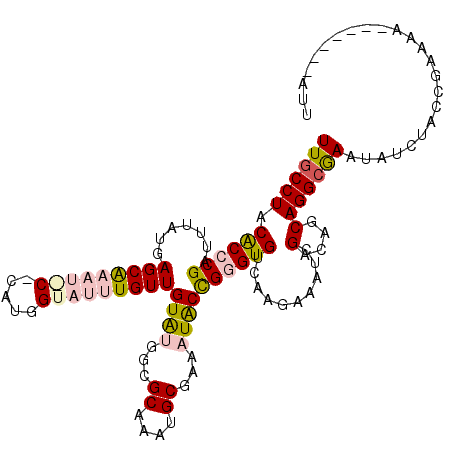 secondary structure