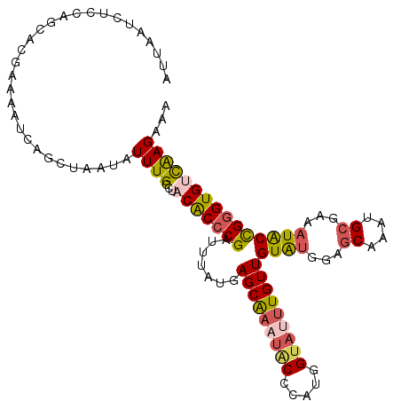 secondary structure