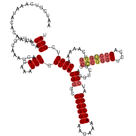 secondary structure