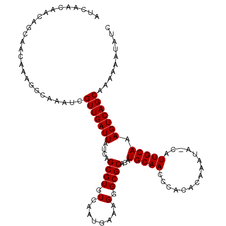 secondary structure