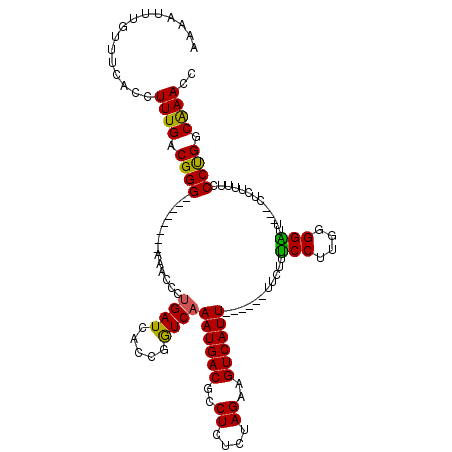 secondary structure