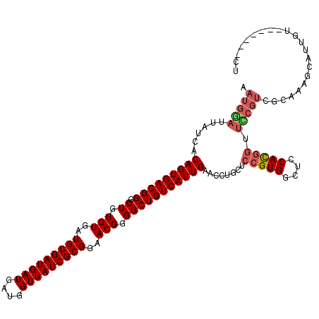 secondary structure