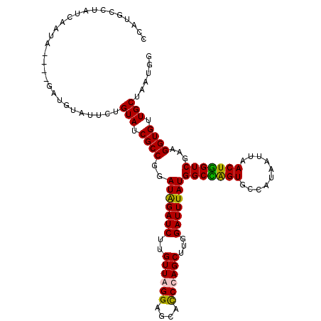 secondary structure