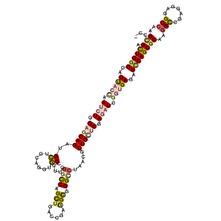 secondary structure