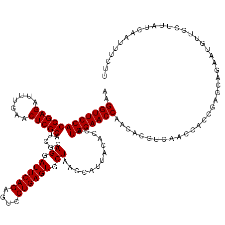 secondary structure