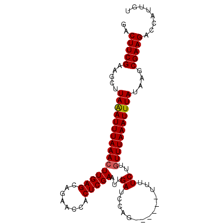 secondary structure