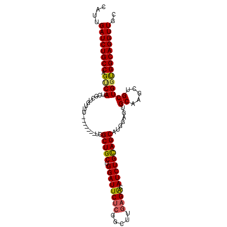secondary structure