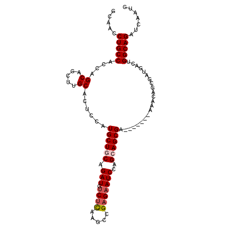 secondary structure